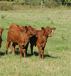 Nemaha Hill Farm Rob and Lori French