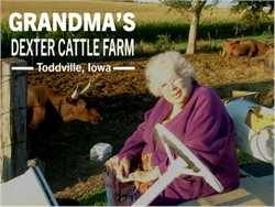 Grandma's Dexter Cattle Farm Dan Butterfield 