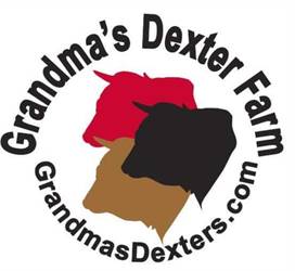 Grandma's Dexter Cattle Farm Dan Butterfield 