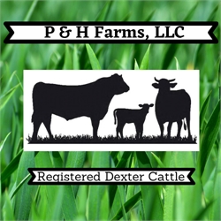 P & H Farms, LLC Heather Zimmerman